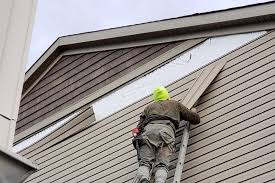 Best Siding Painting and Refinishing  in Holiday, FL